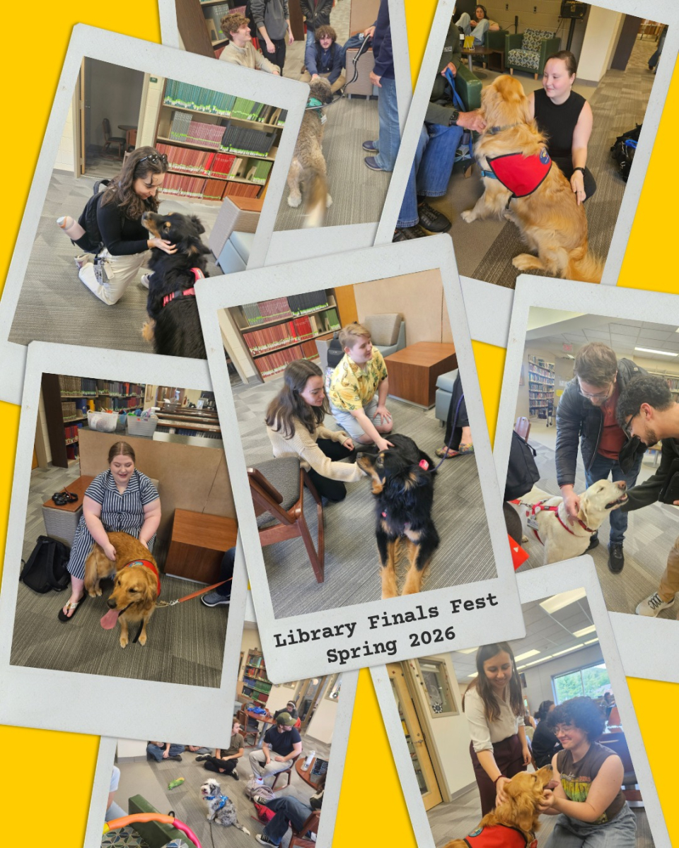 Finals Fest Collage