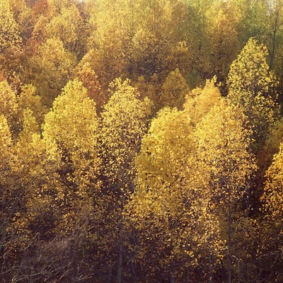 Current Featured Image