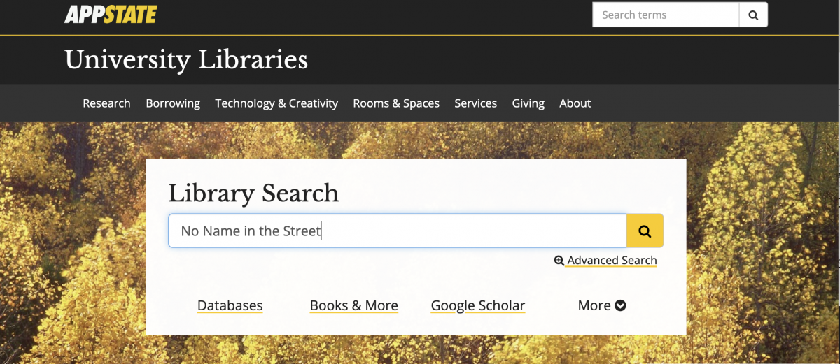 Start your Library Search using the main search box on the library homepage