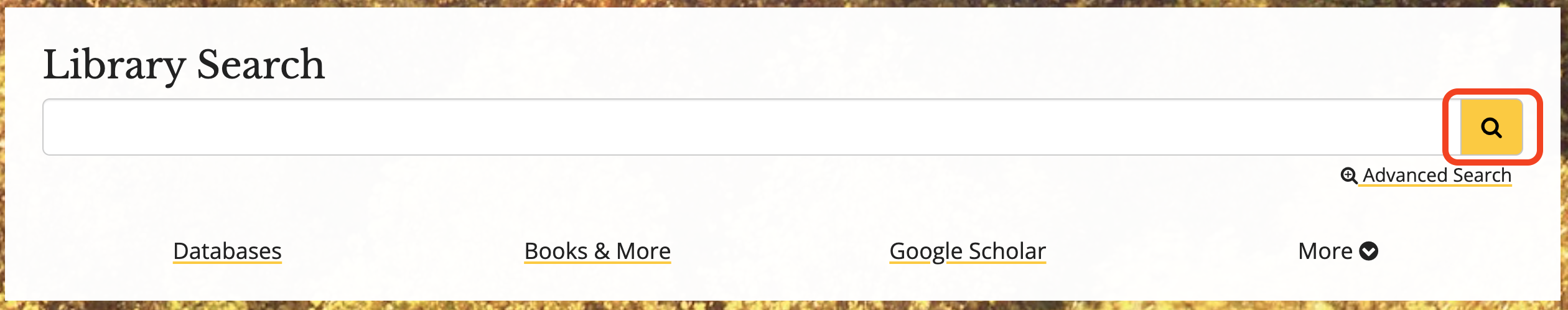 screenshot of empty search box highlighting search button