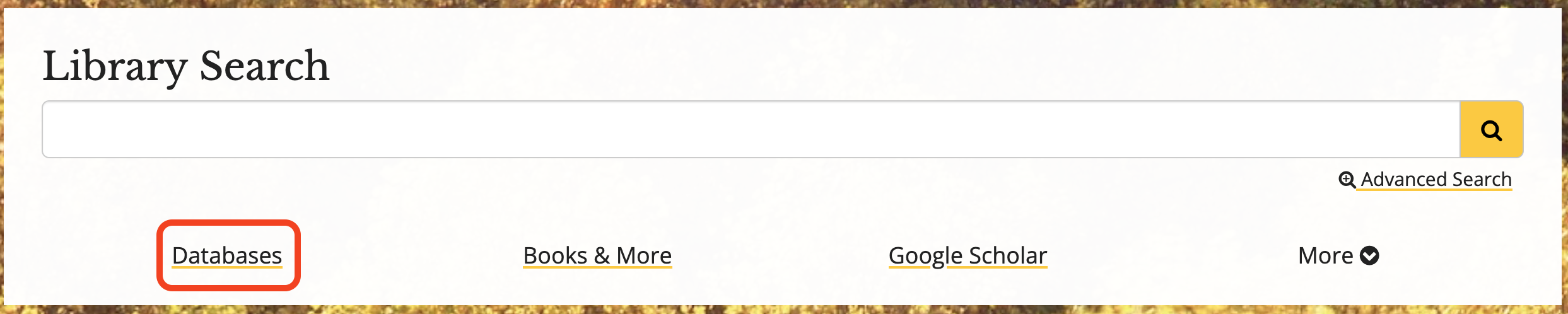 screenshot of databases link