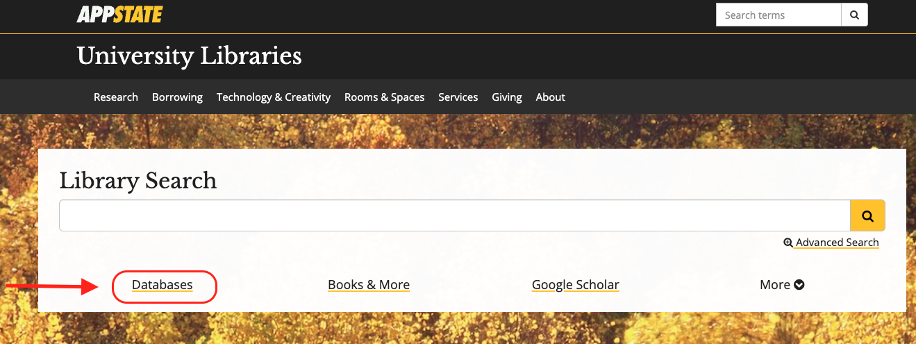 university libraries homepage