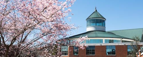 Belk Library cupola