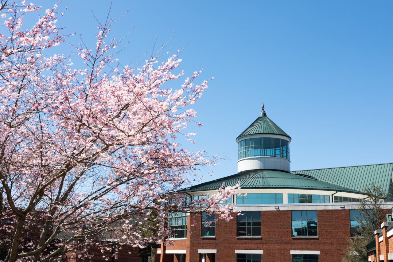 Library Leadership & Planning | University Libraries | Appalachian ...