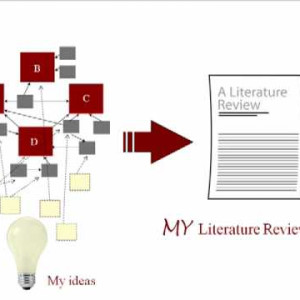 Literature Reviews