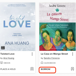 How to Find eBooks in OverDrive (Libby)
