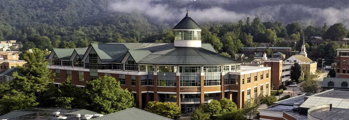 Belk Library & Information Commons building in summer