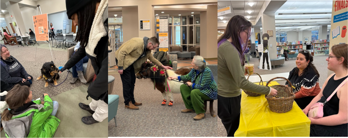 Collage of three photos from Finals Fest showing students interacting with therapy dogs, Trinket the miniature horse, and librarians handing out snacks
