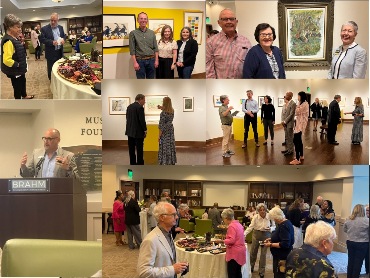 Photo collage of participants at BRAHM event 