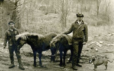 Michael B. Reilly photography collection added in Special Collections
