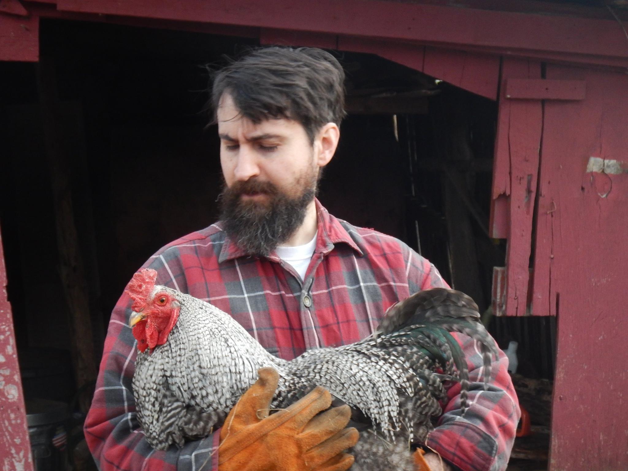 David and rooster David and rooster